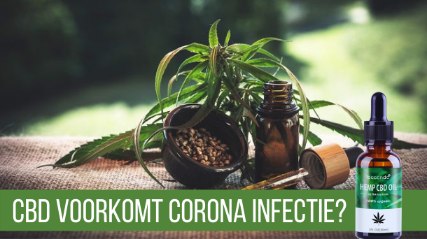 NIEUWS! HEMP CBD olie kan mogelijk corona infectie voorkomen